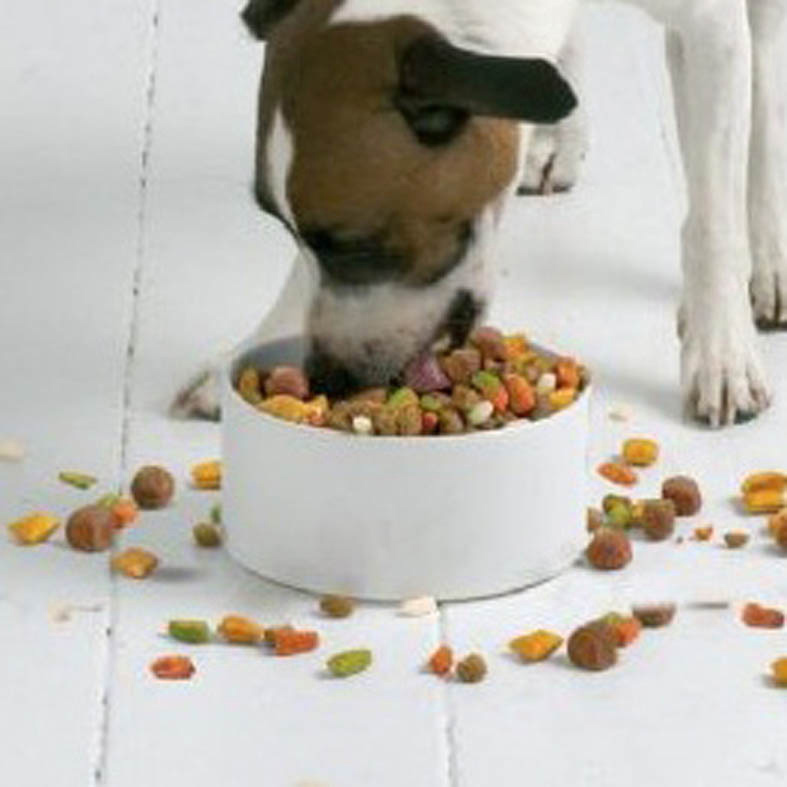 宠物粮食加工厂好做吗?