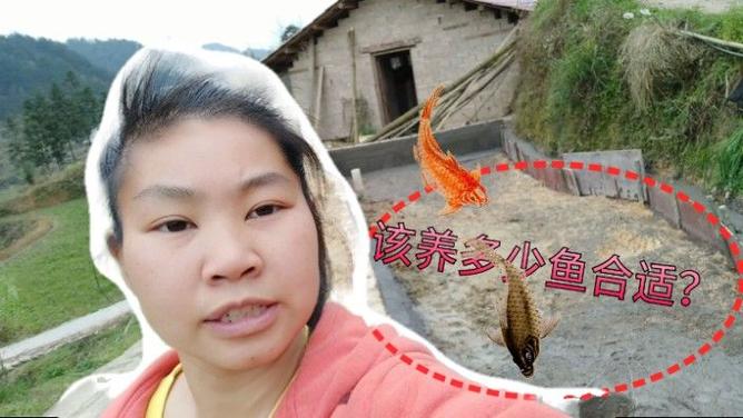 2025澳门开奖结果记录查询和把西瓜扔鱼塘喂鱼与把西瓜扔鱼塘喂鱼好吗