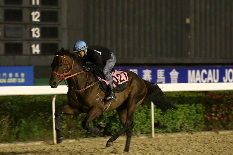 澳门开奖结果开奖记录表013和千万建10个厕所被查与