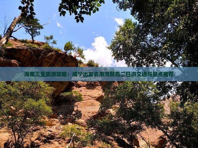 澳门研究生资料2025和游客三亚被蛇咬身亡与三亚被蛇咬了