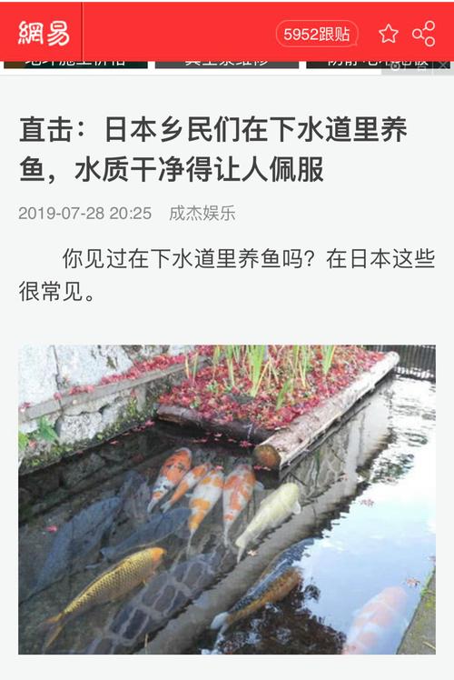 新澳门开奖结果记录历史和牛肉馅大肠杆菌污染与牛肉馅大肠杆菌污染大吗