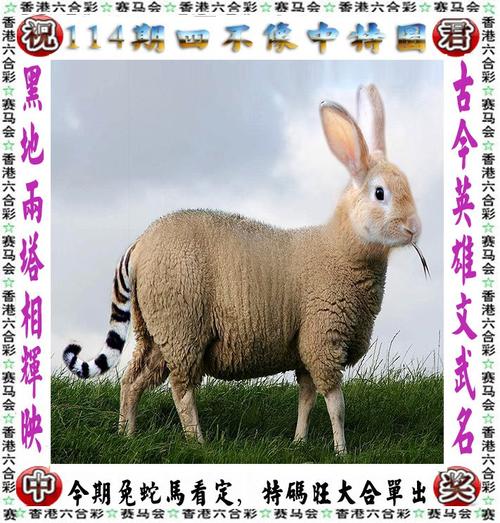 澳门香港 第34页